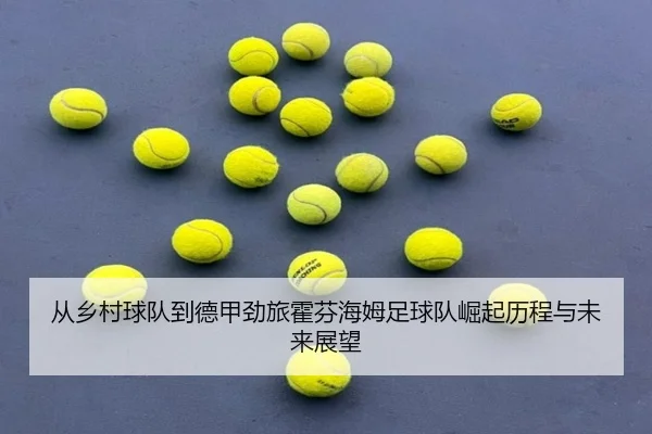 从乡村球队到德甲劲旅霍芬海姆足球队崛起历程与未来展望